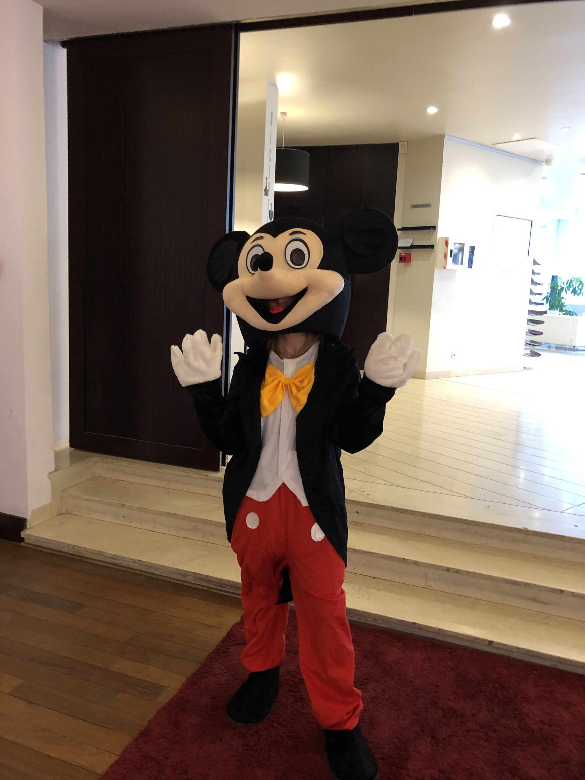 Mickey Mascotte Anim’Rj