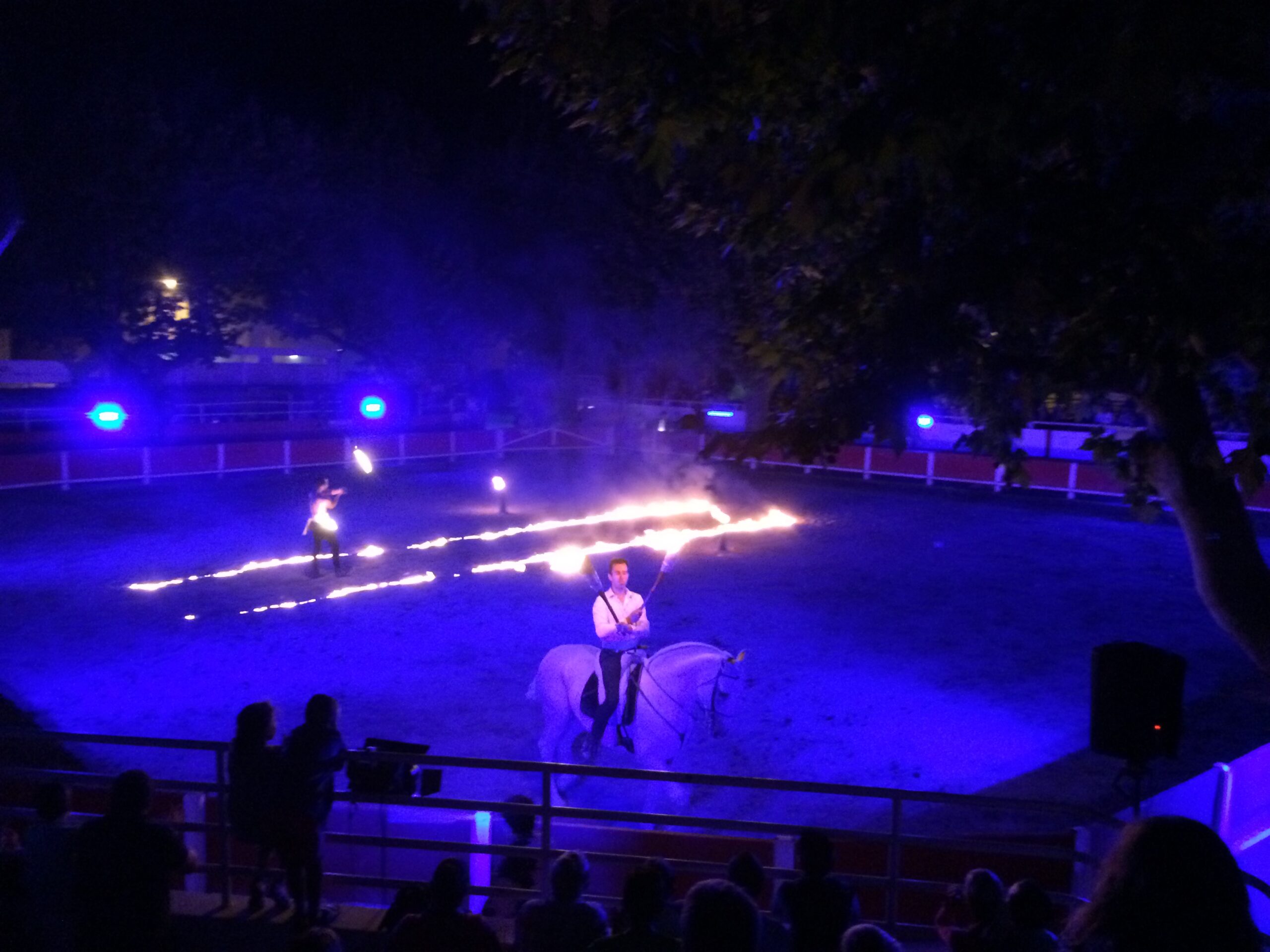 Cabaret Equestre Anim’Rj