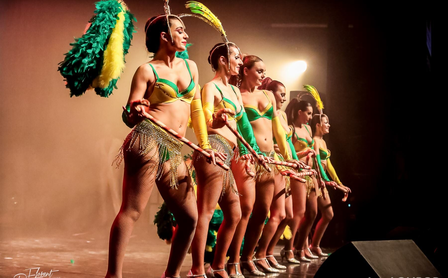 Danse spectacle cabaret Anim’Rj