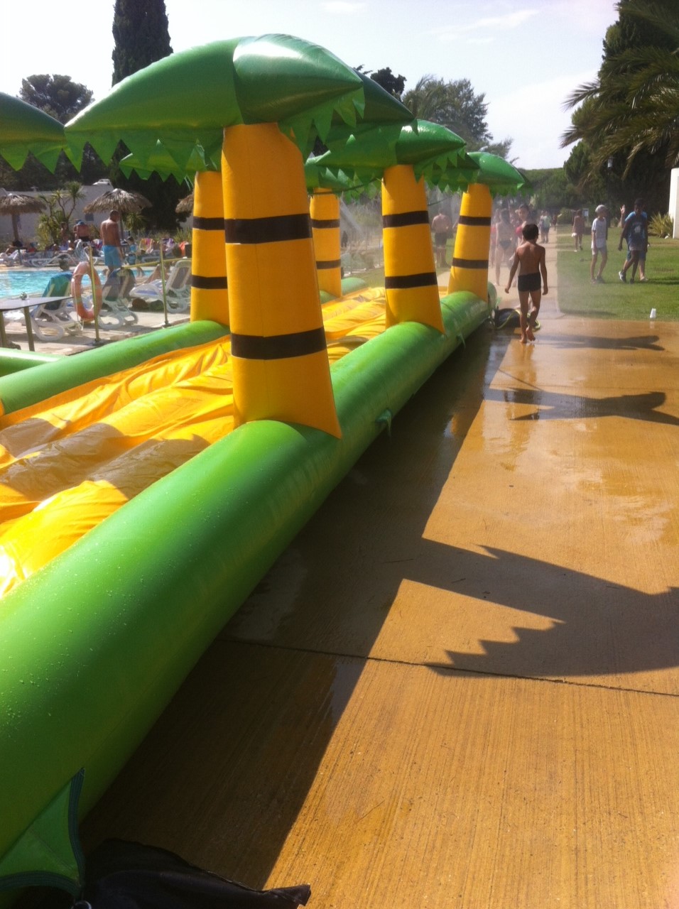 Ventreglisse cocotier Anim’Rj